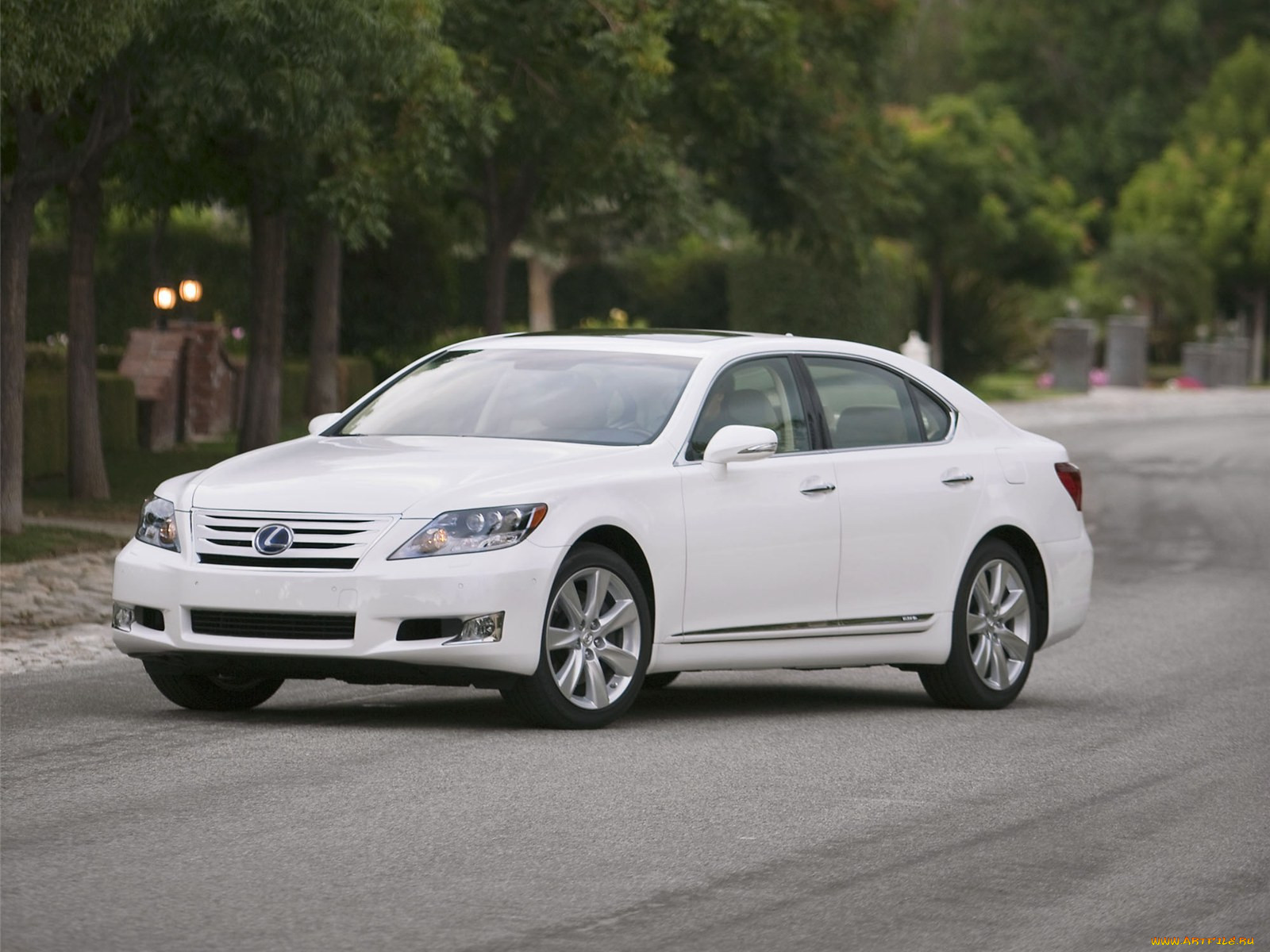, lexus